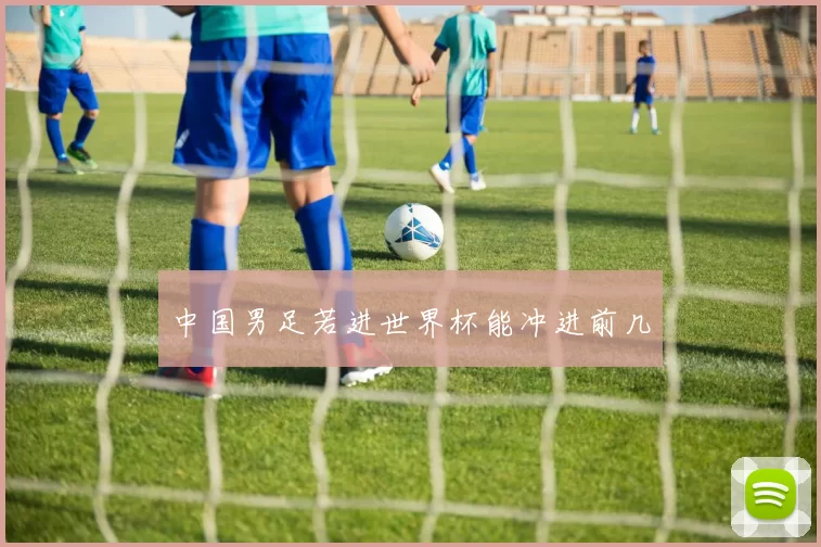 中国男足若进世界杯能冲进前几