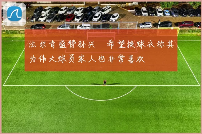 法尔肯盛赞孙兴慜希望换球衣称其为伟大球员家人也非常喜欢
