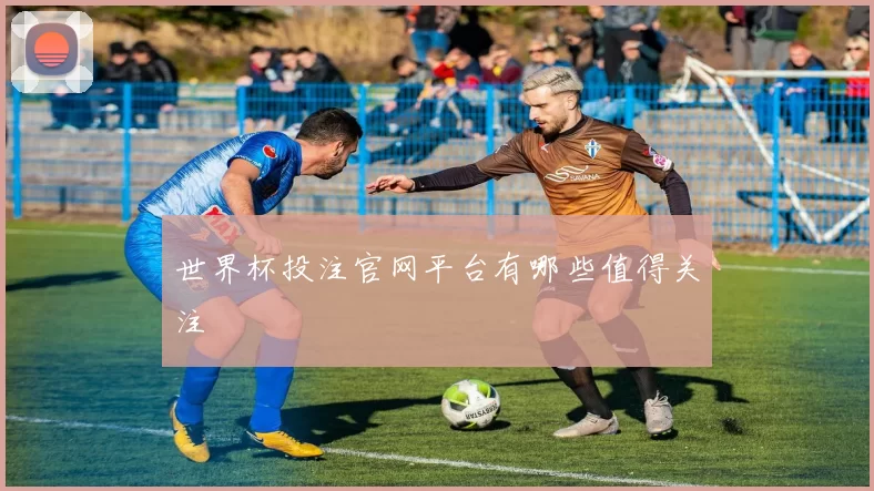 世界杯投注官网平台有哪些值得关注
