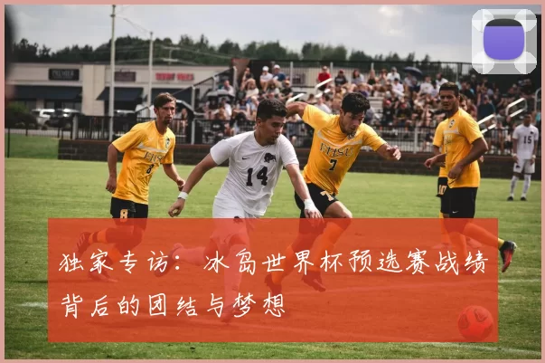 独家专访:冰岛世界杯预选赛战绩背后的团结与梦想