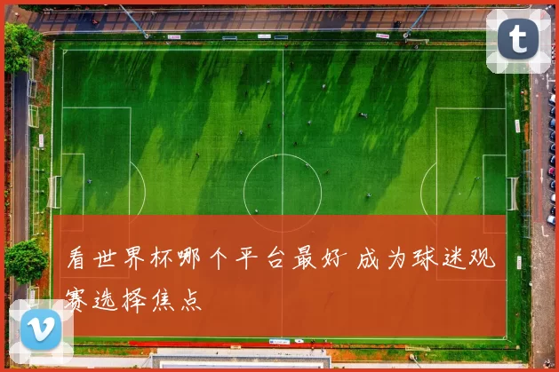 看世界杯哪个平台最好 成为球迷观赛选择焦点