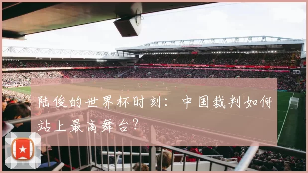 陆俊的世界杯时刻：中国裁判如何站上最高舞台？