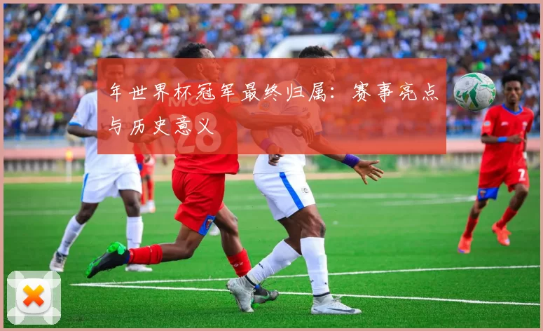 年世界杯冠军最终归属：赛事亮点与历史意义