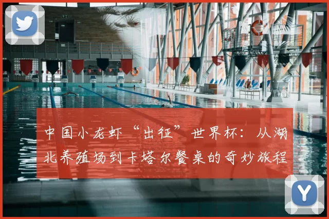 中国小龙虾“出征”世界杯：从湖北养殖场到卡塔尔餐桌的奇妙旅程