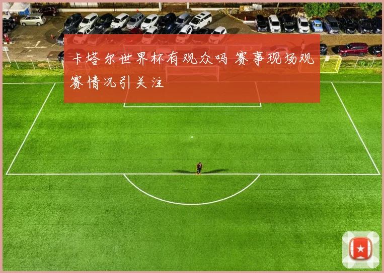 卡塔尔世界杯有观众吗 赛事现场观赛情况引关注