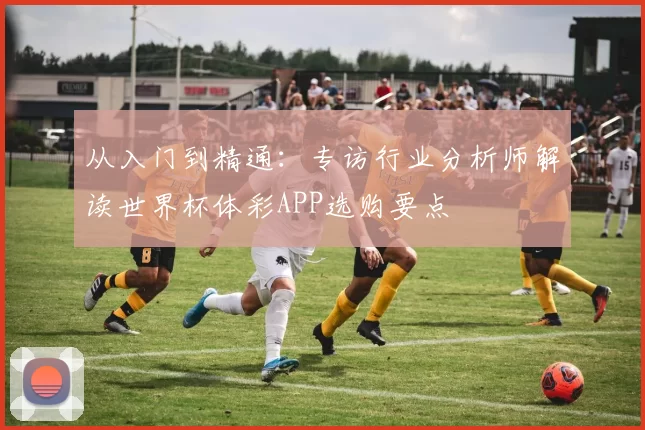从入门到精通:专访行业分析师解读世界杯体彩APP选购要点